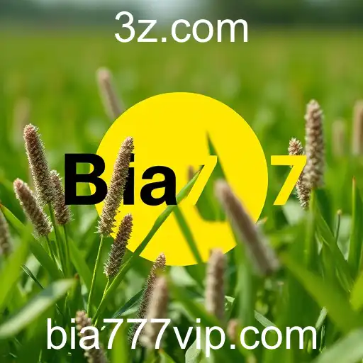 Ascensão dos Jogos de Azar Online no Brasil